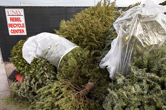 Recycle Your Christmas Tree at Convenient Locations Valleywide Starting ...
