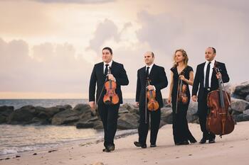 The Amernet String Quartet on beach
