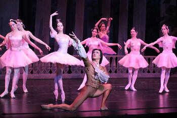 Russian National Ballet performance with a group of ballet dancers mid-routine