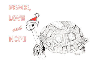 Holiday graphic card which contains a tortoise wearing a small santa hat.