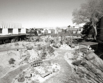 Scenic view of the Xeric Garden during 1988.