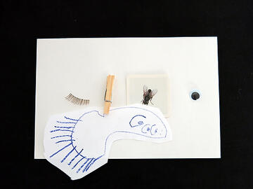 Abstract travel collage by Alisha Kerlin named Eye Fly containing a fake eye lash, abtract drawing of a fish, and a close up image of a fly.