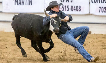 Male competitor tries to wrangle a bull.