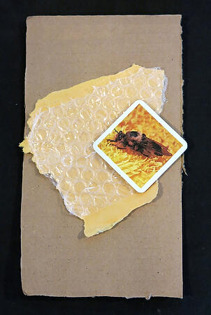 Abstract travel collage by Gabby Aguilar named Honey Package containing close up image of bee on top of bubble wrap.