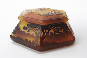 Cameo glass covered box with overlay.