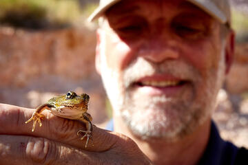 A man holds up a small frog