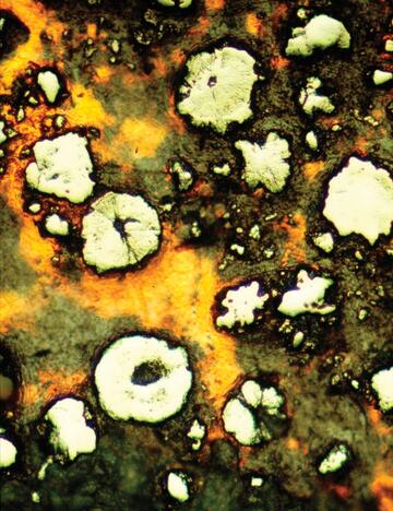 Microscopic view of yellow slice of gold ore.