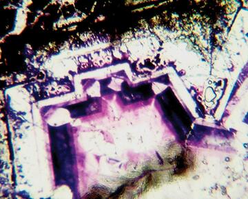 Microscopic view of a fluorite crystal.