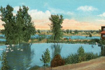 A postcard showing Lorenzi Park
