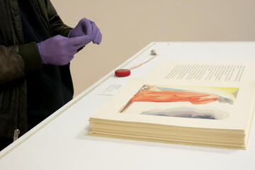 The woodcut prints from Salvador Dali, now featured in the Barrick Museum's Teaching Gallery, require careful handling.