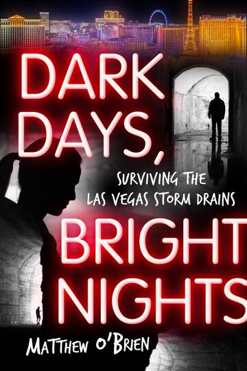 book cover of Dark Days, Bright Nights