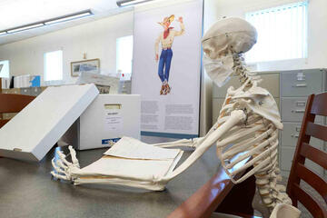 Skeleton reading through papers