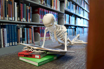 Skeleton reads from a pile of books