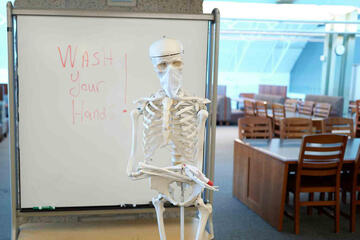 Skeleton standing in front of white board with sentence 'Wash your hands!'