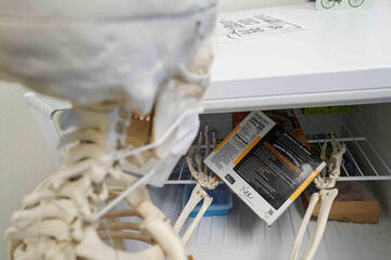 Skeleton looking through fridge