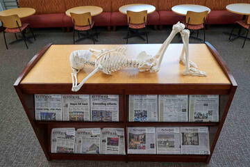 Skeleton laying on desk