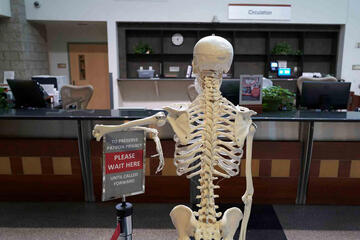 Skeleton standing in front of empty desk
