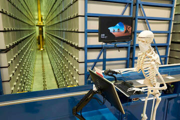 Skeleton using computer at standing desk