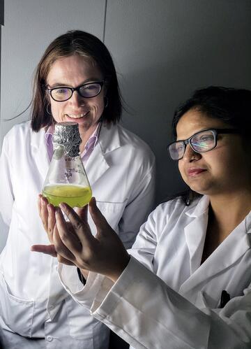 UNLV researchers look at algae growing in a beaker