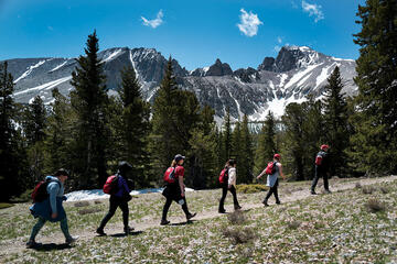 Six people walking in a line on trail.