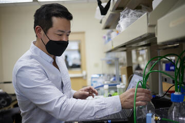 Cho working in his lab