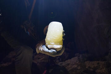 UNLV professor Matthew Lachniet holds a stalagmite retrieved from a Grand Canyon cave