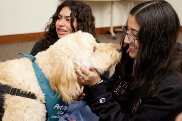 therapy dog leaning in close to student's face