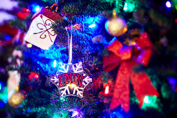 ornaments on a tree
