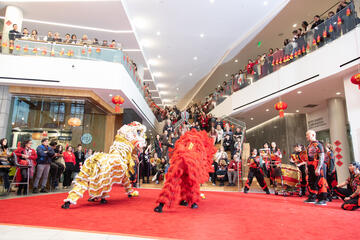 Chinese New Year celebration