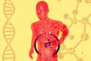animation of human surrounded by dna strands while holding stomach with intestines highlighted