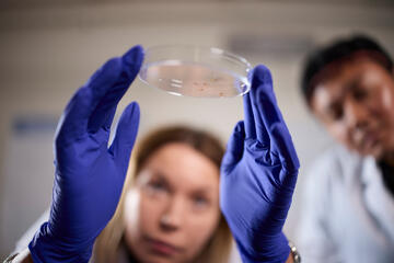 Louisa Messenger holds up a petri dish containing mosquitoes while a student looks on in the background