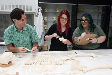 two women and one man working in UNLV Forensic Anthropology and Bioarchaeology Lab