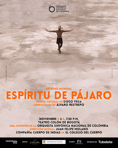 Poster for ballet Espíritu de Pájaro