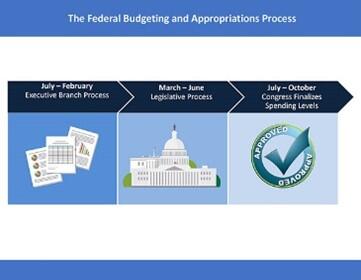 Graphic showing the Federal budget and appropriations process