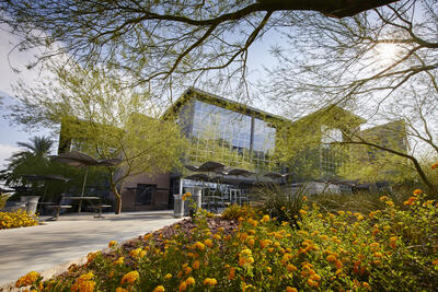 Exterior of SRWC Building, sunny and surrounded by flowers
