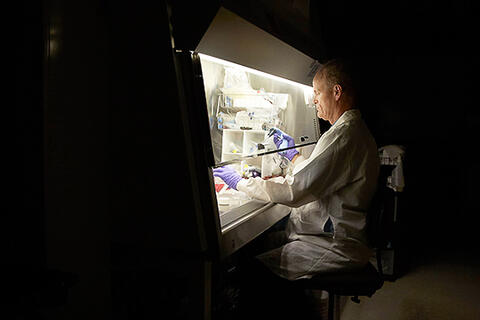 Bryan Spangelo works in lab