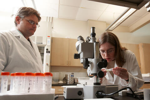 Libby Hausrath and student Seth Grainey working by microscope in lab.