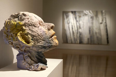 Meghan Smythe, Purple Lady