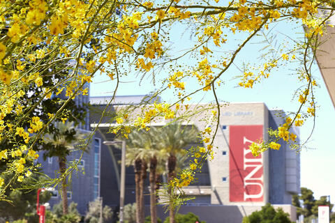 tree branches with yellow flowers and building in background