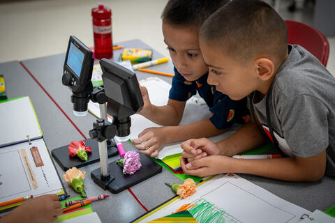 Two young children observing flowers under a microscope