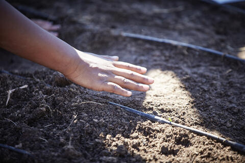 Hand planting seeds in planter at community garden.