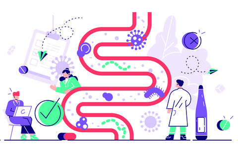 artist rendering of scientists working on data related to gut flora