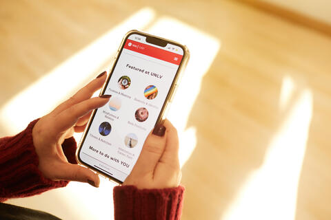 hands holding a phone that shows website