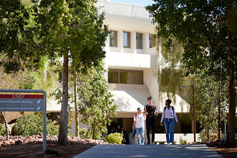 People walking and chatting on the sidewalk with surrounding trees.
