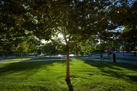 Landscape of Academic Mall on a Summer morning.