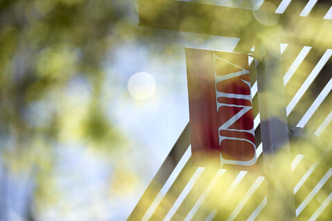 beauty photo of campus showing UNLV banner through leaves