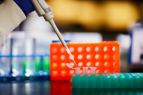 a gloved hand uses a baster to inject a liquid substance into a test tube