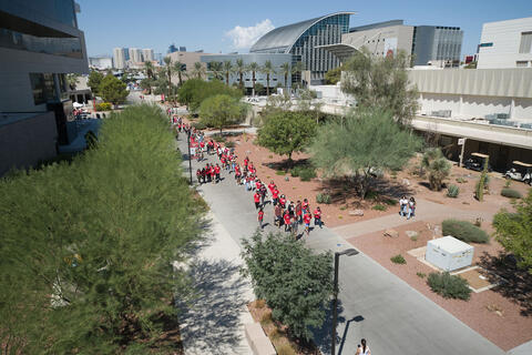 aerial of campus walkway near xeric garden with library in distance