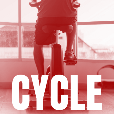 Cycle Logo