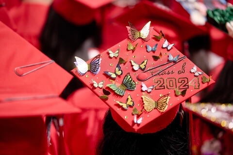 A student's red mortarboard decorated with butterflies and the phrase Class of 2024 stands out among others at graduation